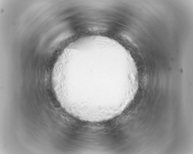 X0000088640917200706221542