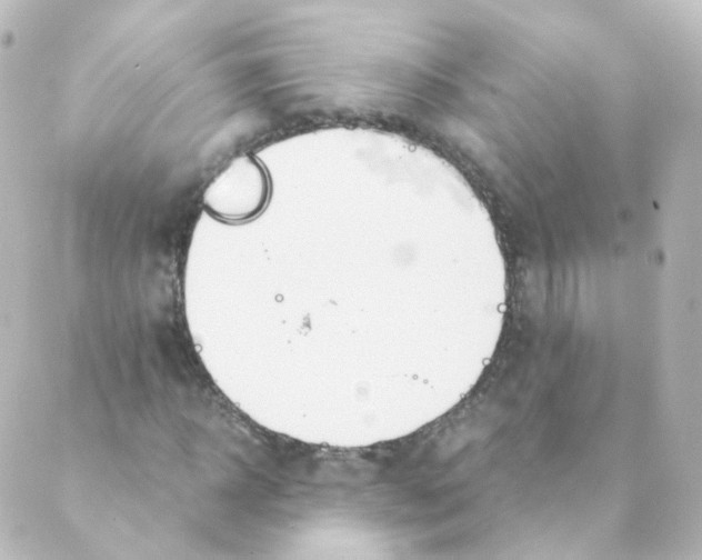 X0000088640918200706221542