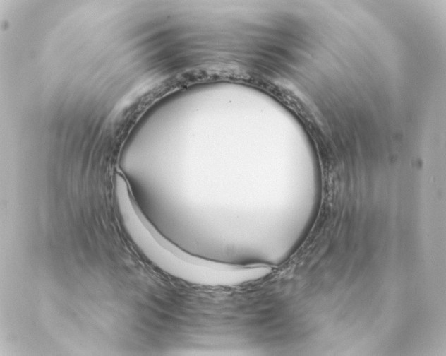 X0000088640919200706221542