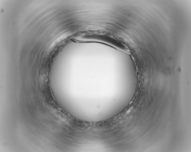 X0000088640920200706221542