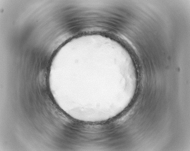 X0000088640921200706221542