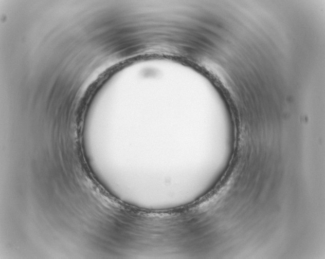 X0000088640923200706221542