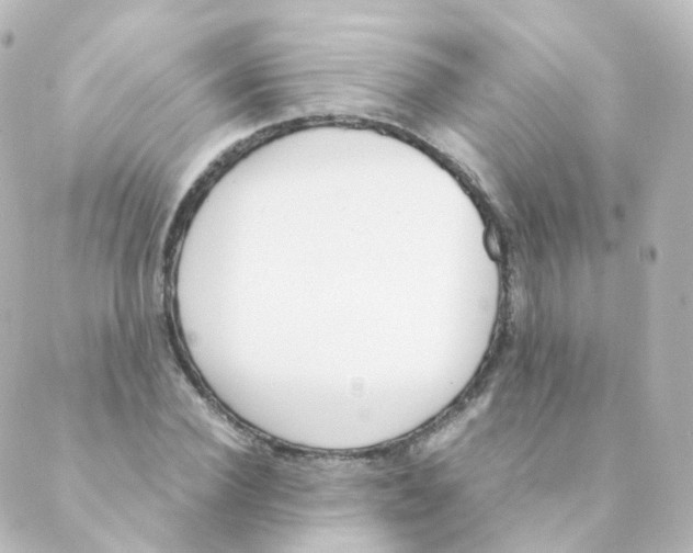 X0000088640924200706221542