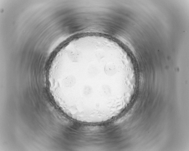 X0000088640925200706221542