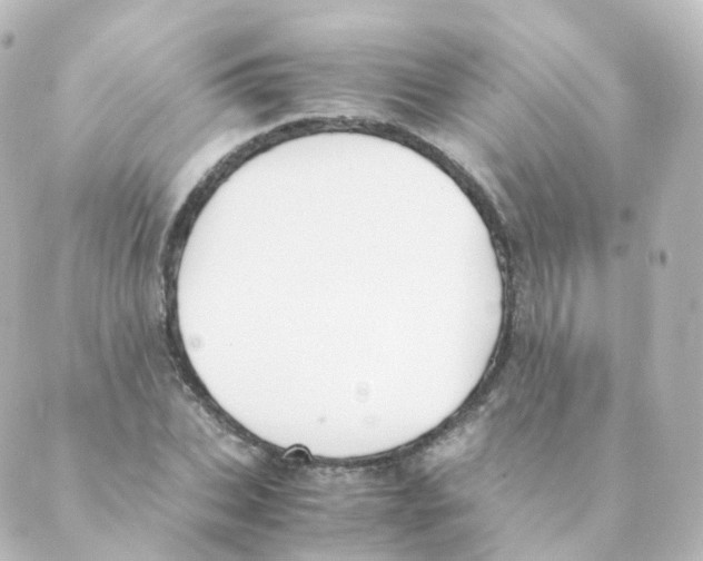 X0000088640927200706221542