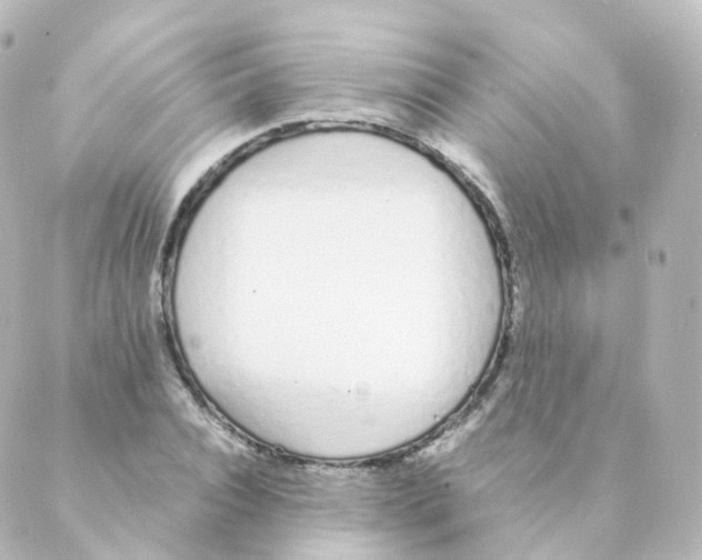 X0000088640928200706221542