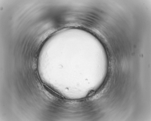 X0000088640929200706221542