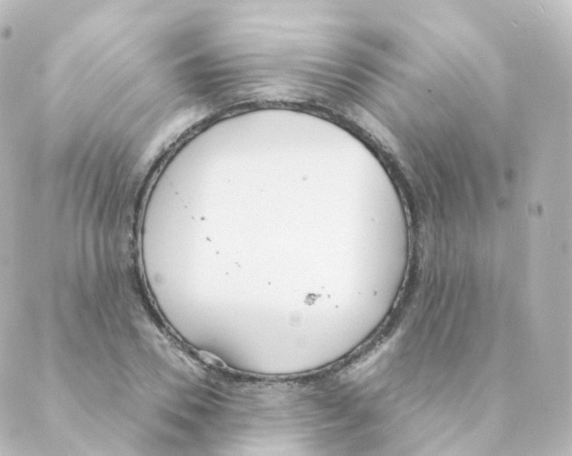 X0000088640930200706221542