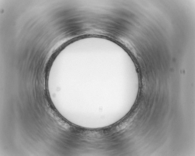 X0000088640931200706221542