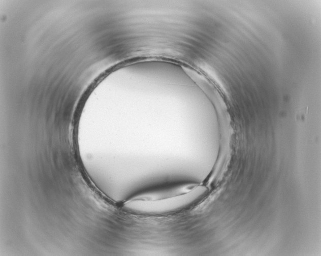 X0000088640932200706221542