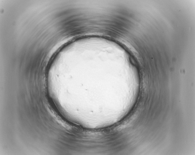 X0000088640933200706221542