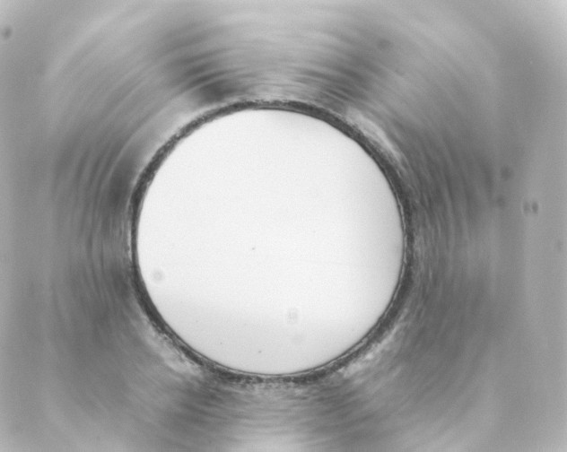 X0000088640934200706221542