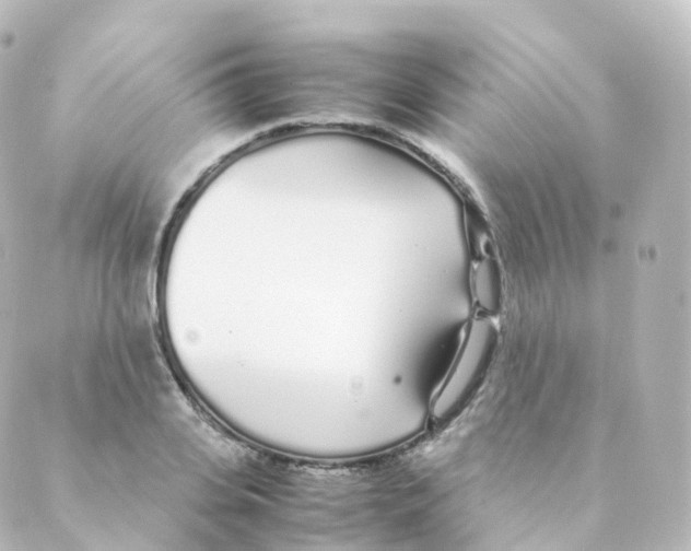 X0000088640935200706221542