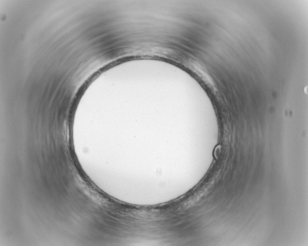 X0000088640936200706221542