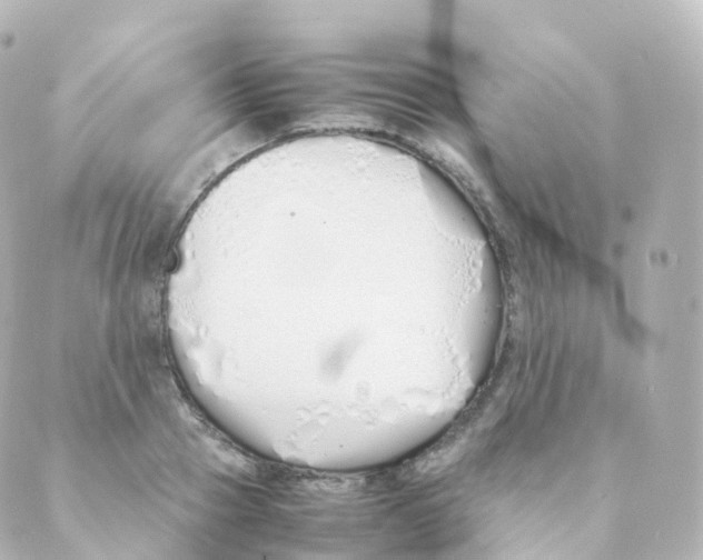 X0000088640937200706221542