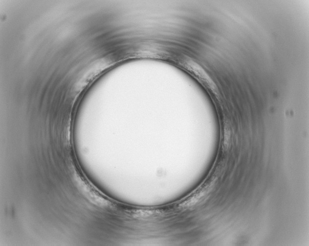 X0000088640938200706221542