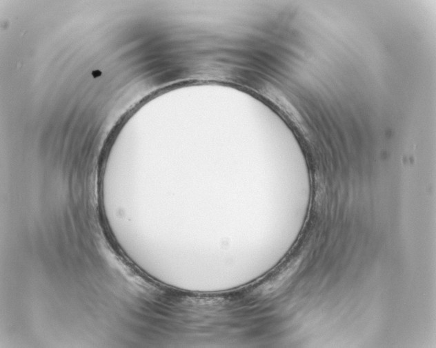 X0000088640939200706221542