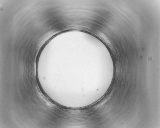 X0000088640940200706221542