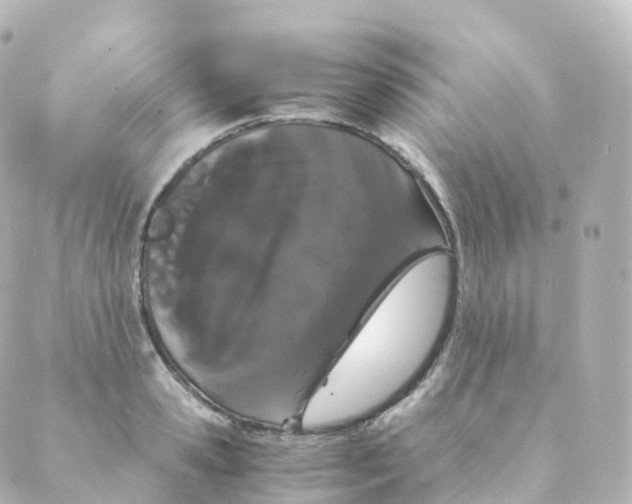 X0000088640941200706221542