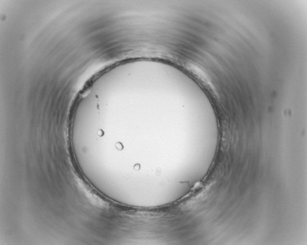 X0000088640942200706221542