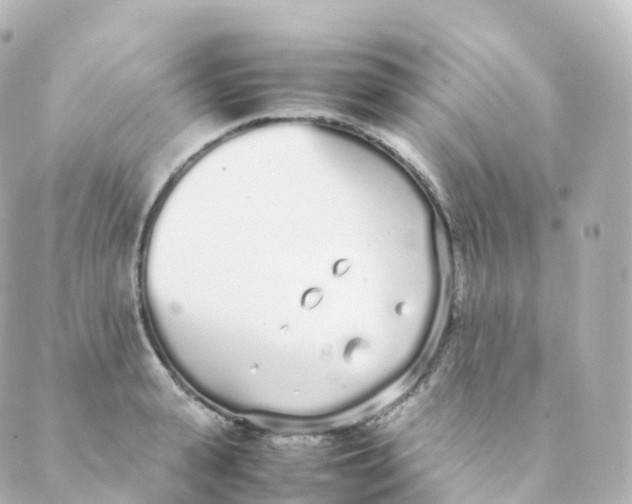 X0000088640943200706221542