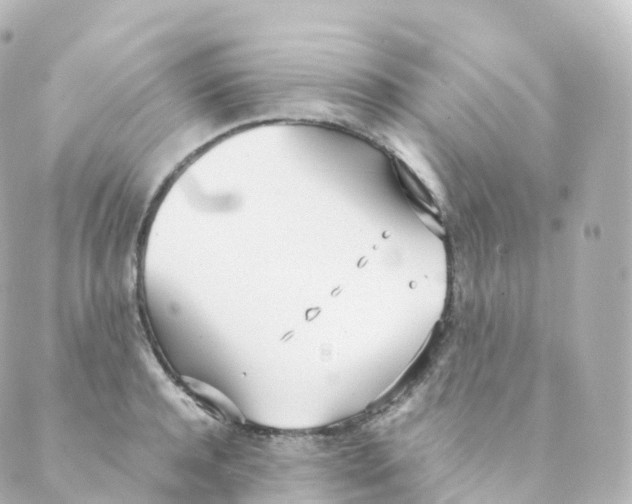 X0000088640944200706221542