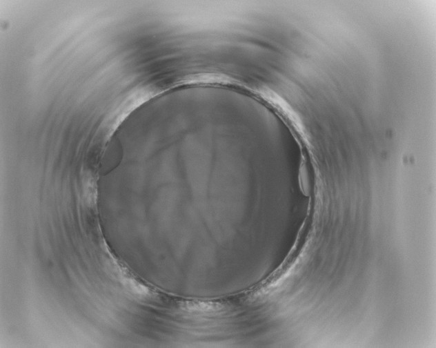 X0000088640945200706221542