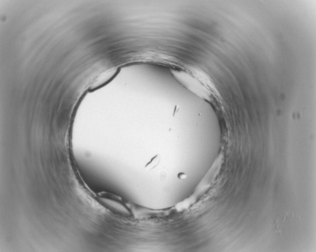 X0000088640946200706221542