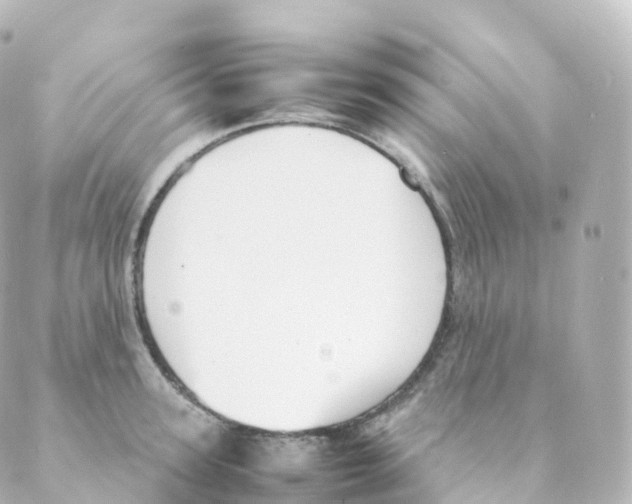 X0000088640947200706221542