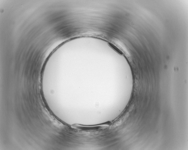 X0000088640948200706221542