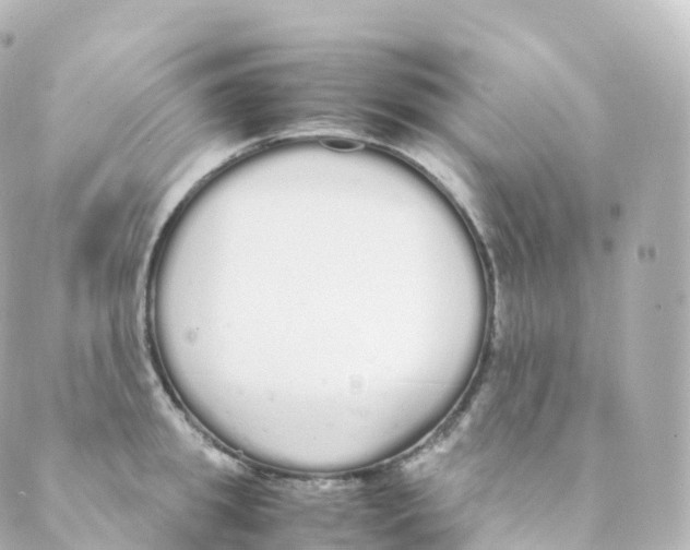 X0000088640949200706221542