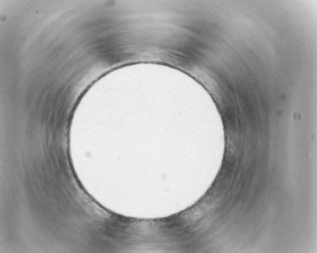 X0000088640950200706221542