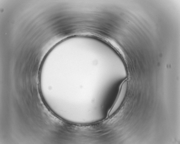 X0000088640951200706221542