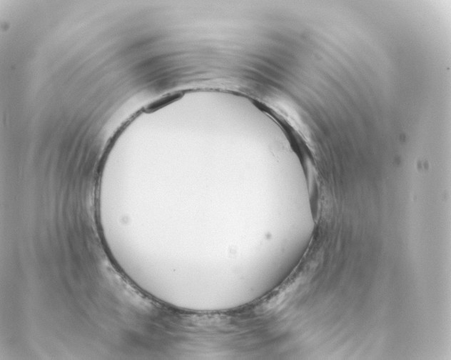 X0000088640952200706221542