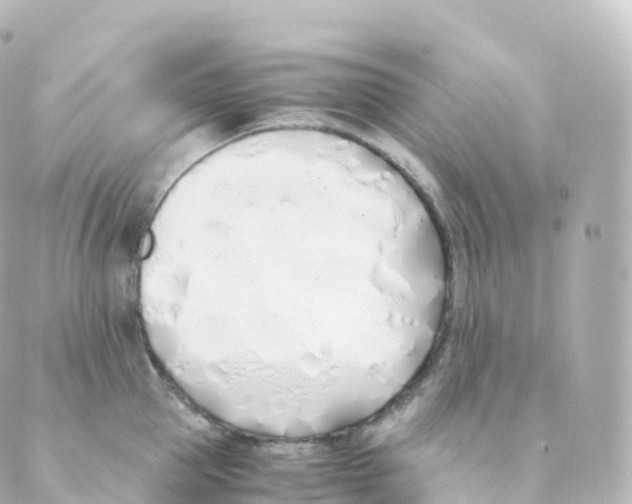 X0000088640953200706221542