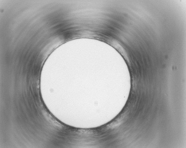 X0000088640954200706221542