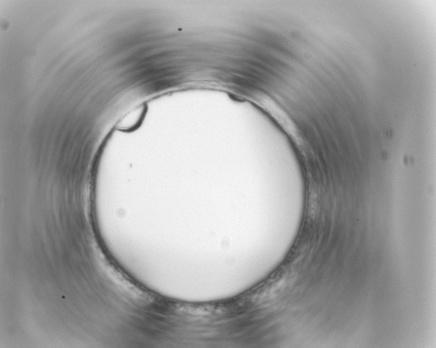 X0000088640955200706221542