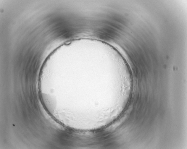 X0000088640957200706221542