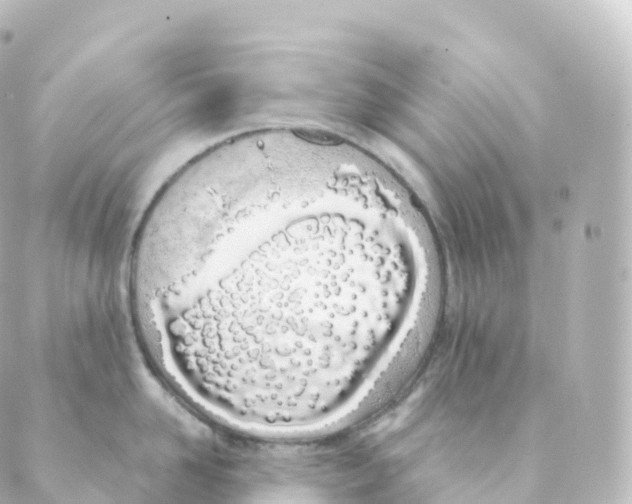 X0000088640958200706221542