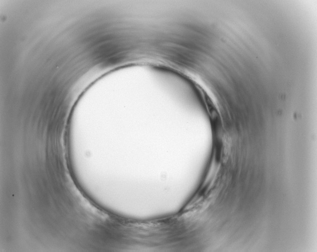 X0000088640959200706221542