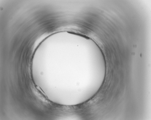 X0000088640960200706221542