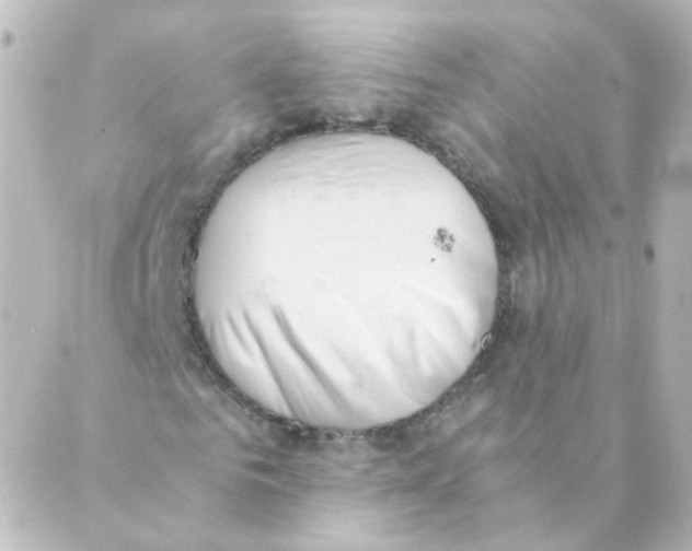 X0000088640961200706221542