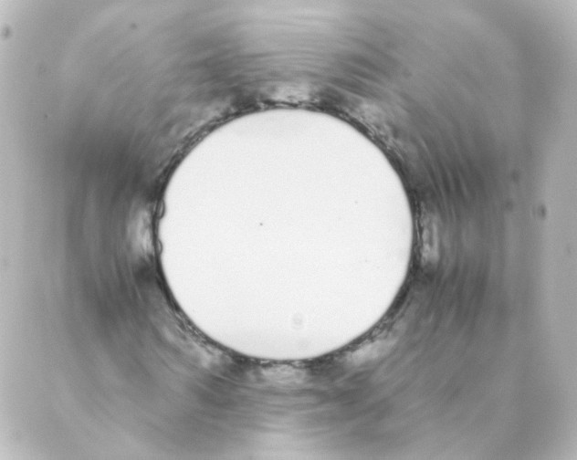 X0000088640962200706221542