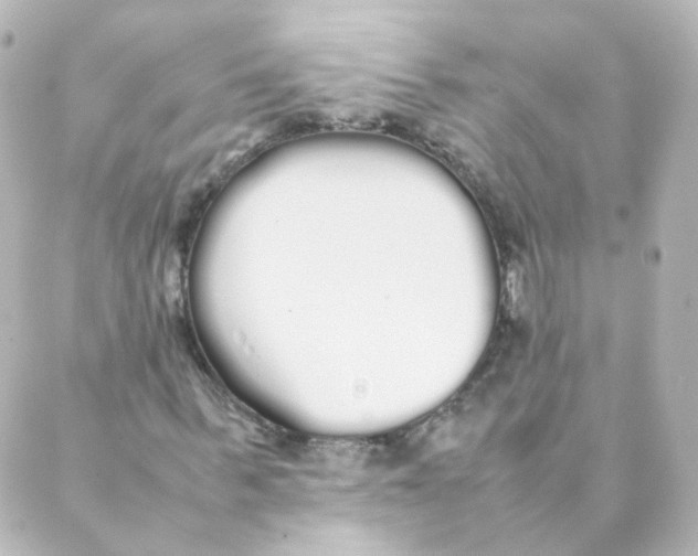 X0000088640963200706221542