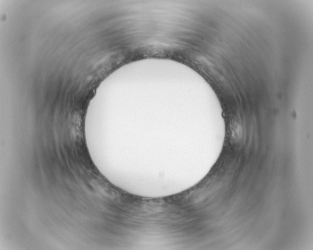 X0000088640964200706221542