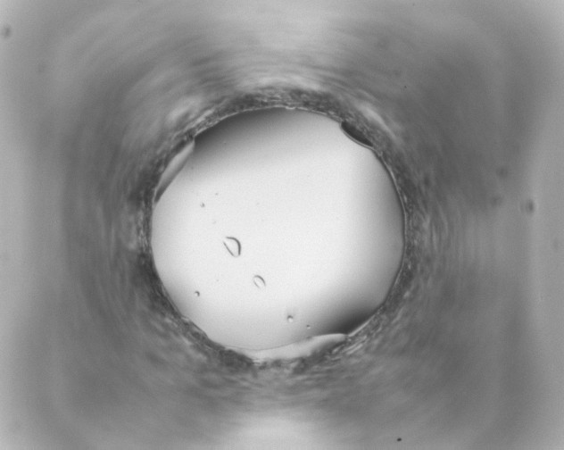 X0000088640965200706221542