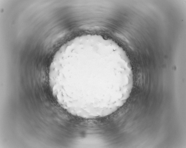 X0000088640966200706221542