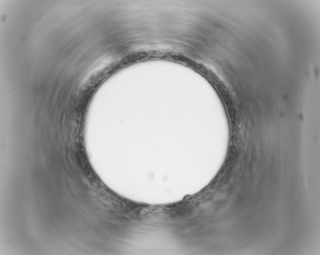 X0000088640967200706221541