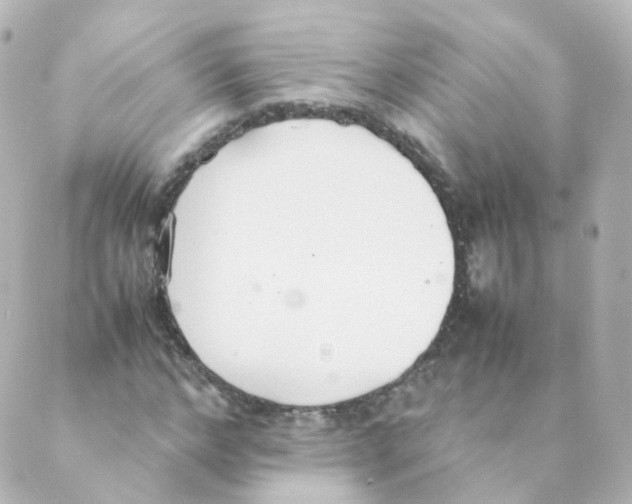 X0000088640968200706221541