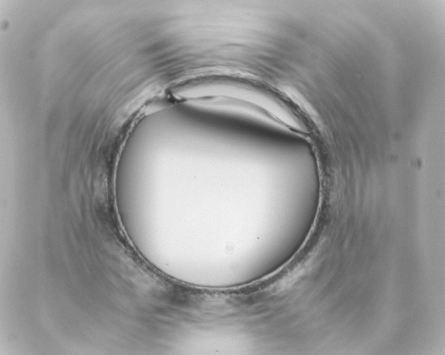 X0000088640969200706221541